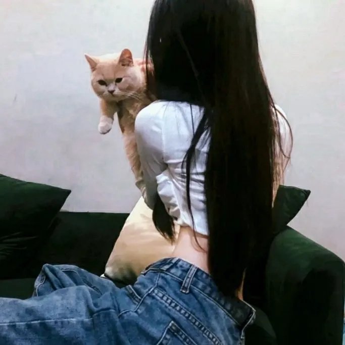 顶级乐队